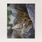 Kutest Baby Animals | Slapen van Tabby Kitten Legpuzzel (Verticaal)