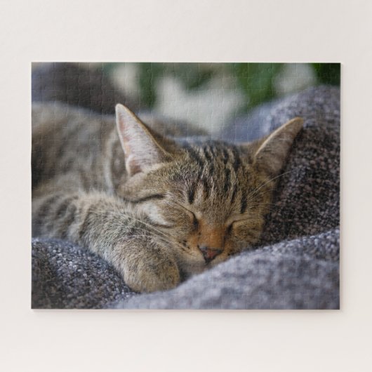 Kutest Baby Animals | Slapen van Tabby Kitten Legpuzzel (Horizontaal)