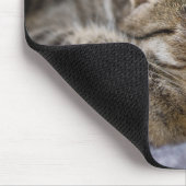 Kutest Baby Animals | Slapen van Tabby Kitten Muismat (Hoek)