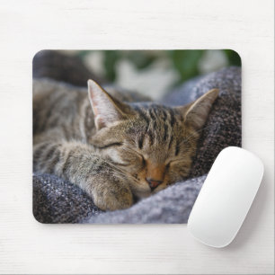 Kutest Baby Animals   Slapen van Tabby Kitten Muismat