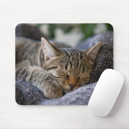 Kutest Baby Animals | Slapen van Tabby Kitten Muismat (Met muis)