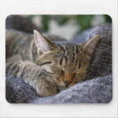 Kutest Baby Animals | Slapen van Tabby Kitten Muismat (Voorkant)