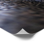 Kutest Baby Animals | Slapen van Tabby Kitten Poster (Hoek)