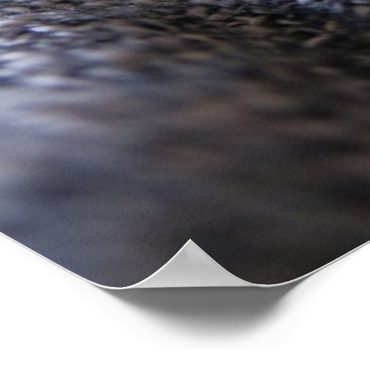 Kutest Baby Animals | Slapen van Tabby Kitten Poster (Hoek)