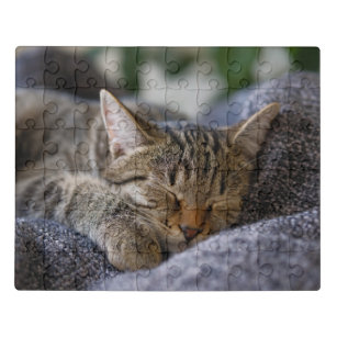 Kutest Baby Animals   Slapen van Tabby Kitten Puzzel