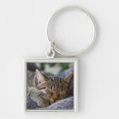 Kutest Baby Animals | Slapen van Tabby Kitten Sleutelhanger (Voorkant)