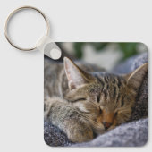 Kutest Baby Animals | Slapen van Tabby Kitten Sleutelhanger (Voorkant)