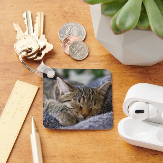Kutest Baby Animals | Slapen van Tabby Kitten Sleutelhanger (Bureau)