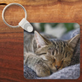 Kutest Baby Animals | Slapen van Tabby Kitten Sleutelhanger (Voorkant)