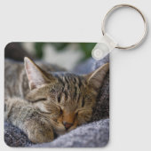Kutest Baby Animals | Slapen van Tabby Kitten Sleutelhanger (Achterkant)