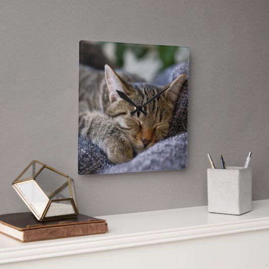 Kutest Baby Animals | Slapen van Tabby Kitten Vierkante Klok (Kantoor)