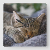 Kutest Baby Animals | Slapen van Tabby Kitten Vierkante Klok (Voorkant)