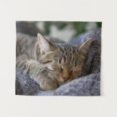 Kutest Baby Animals | Slapen van Tabby Kitten Wandkleed (Voorkant (horizontaal))