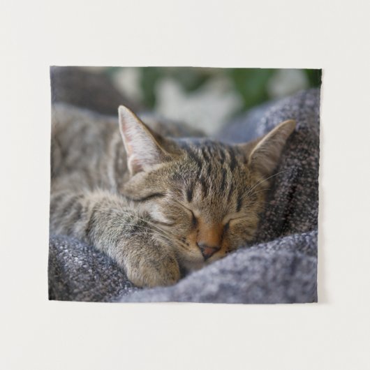 Kutest Baby Animals | Slapen van Tabby Kitten Wandkleed (Voorkant (horizontaal))