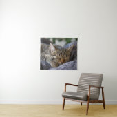 Kutest Baby Animals | Slapen van Tabby Kitten Wandkleed (In Situ (horizontaal))