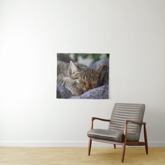 Kutest Baby Animals | Slapen van Tabby Kitten Wandkleed (In Situ (horizontaal))