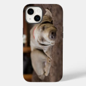 Kutest Baby Animals | Sleephoesem van de weimarane Case-Mate iPhone Case (Achterkant)