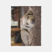 Kutest Baby Animals | Sleephoesem van de weimarane Fleece Deken (Voorkant)