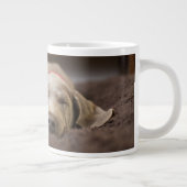 Kutest Baby Animals | Sleephoesem van de weimarane Grote Koffiekop (Rechts)