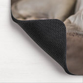 Kutest Baby Animals | Sleephoesem van de weimarane Muismat (Hoek)