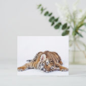 Kutest Baby Animals | Sleepy Baby tijgerkub Briefkaart (Staand voorkant)