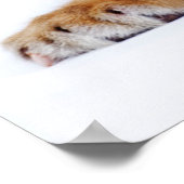 Kutest Baby Animals | Sleepy Baby tijgerkub Poster (Hoek)