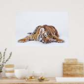 Kutest Baby Animals | Sleepy Baby tijgerkub Poster (Keuken)