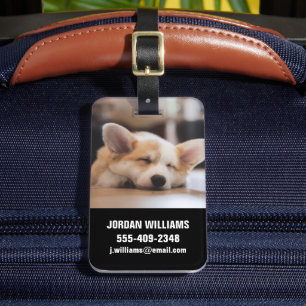 Kutest Baby Animals   Sleepy Corgi Bagagelabel