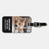Kutest Baby Animals | Sleepy Corgi Bagagelabel (Voorkant horizontaal)