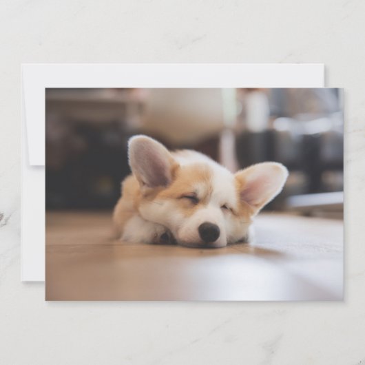 Kutest Baby Animals | Sleepy Corgi Bedankkaart (Voorkant)