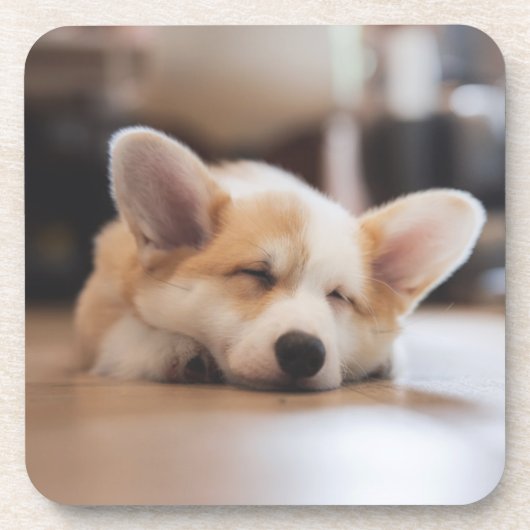 Kutest Baby Animals | Sleepy Corgi Bier Onderzetter (Voorkant)
