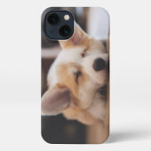 Kutest Baby Animals | Sleepy Corgi iPhone Hoesje (Achterkant)