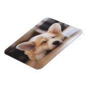 Kutest Baby Animals | Sleepy Corgi Magneet (Linkerzijde)