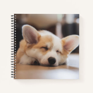 Kutest Baby Animals Sleepy Corgi Notitieboek