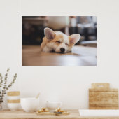 Kutest Baby Animals | Sleepy Corgi Poster (Keuken)