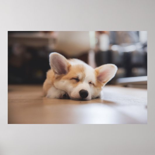 Kutest Baby Animals | Sleepy Corgi Poster (Voorkant)