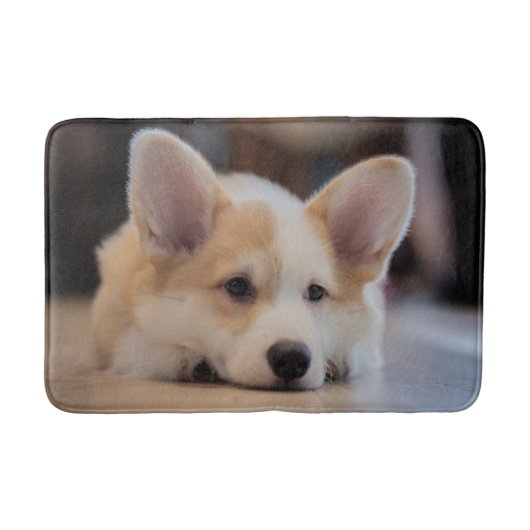 Kutest Baby Animals | Sleepy Corgi Puppy Badmat (Voorkant)
