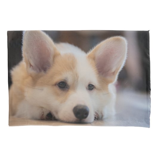 Kutest Baby Animals | Sleepy Corgi Puppy Kussensloop (Voorkant)
