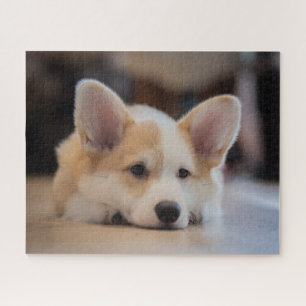 Kutest Baby Animals Sleepy Corgi Puppy Legpuzzel