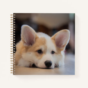 Kutest Baby Animals Sleepy Corgi Puppy Notitieboek