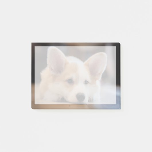 Kutest Baby Animals | Sleepy Corgi Puppy Post-it® Notes (Voorkant)