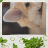 Kutest Baby Animals | Sleepy Corgi Puppy Theedoek (Gevouwen)
