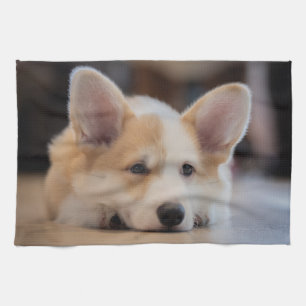 Kutest Baby Animals Sleepy Corgi Puppy Theedoek