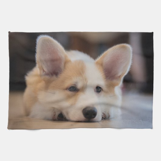 Kutest Baby Animals | Sleepy Corgi Puppy Theedoek (Horizontaal)