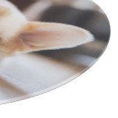 Kutest Baby Animals | Sleepy Corgi Snijplank (Hoek)