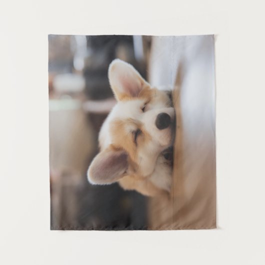 Kutest Baby Animals | Sleepy Corgi Wandkleed (Voorkant)