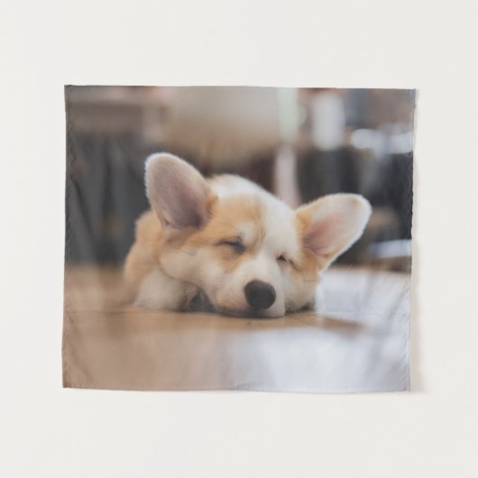Kutest Baby Animals | Sleepy Corgi Wandkleed (Voorkant (horizontaal))