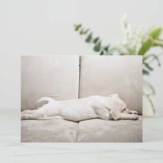 Kutest Baby Animals | Sleepy Yellow Labrador Puppy Bedankkaart (Staand voorkant)