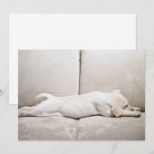 Kutest Baby Animals | Sleepy Yellow Labrador Puppy Bedankkaart (Voorkant / Achterkant)