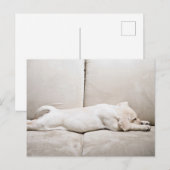 Kutest Baby Animals | Sleepy Yellow Labrador Puppy Briefkaart (Voorkant / Achterkant)